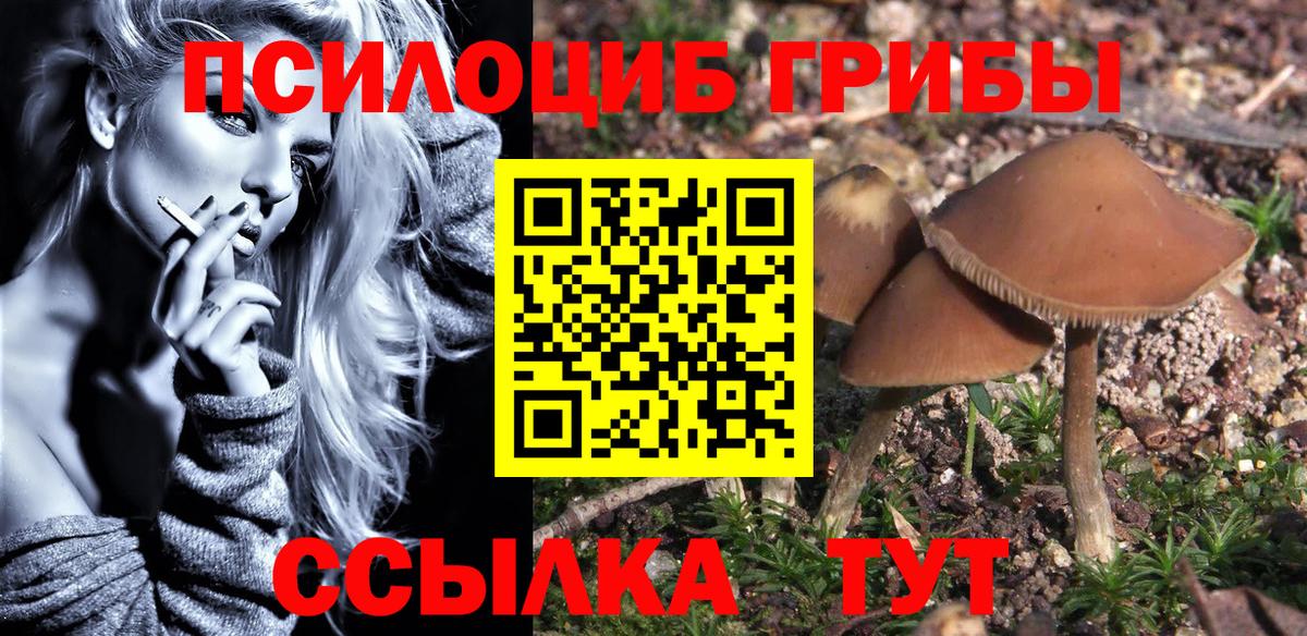 Галлюциногенные грибы MAGIC MUSHROOMS Советский