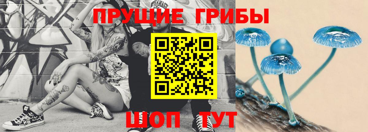 Галлюциногенные грибы MAGIC MUSHROOMS  Псилоцибиновые грибы Psilocybine cubensis  Советский  Вход с VPN 